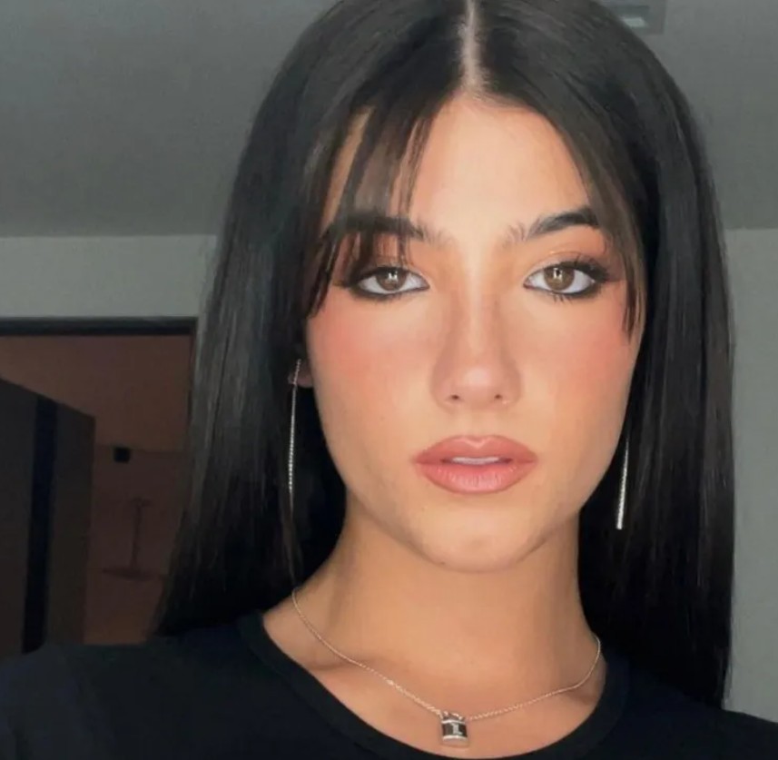 Alcanzó la fama con sus coreografías y retos virales, convirtiéndose en una de las primeras estrellas de TikTok. Actualmente cuenta con alrededor de 150 millones de seguidores. Sus ingresos anuales se estiman entre 8 y 10 millones de dólares, gracias a patrocinios, proyectos de entretenimiento y líneas de productos.